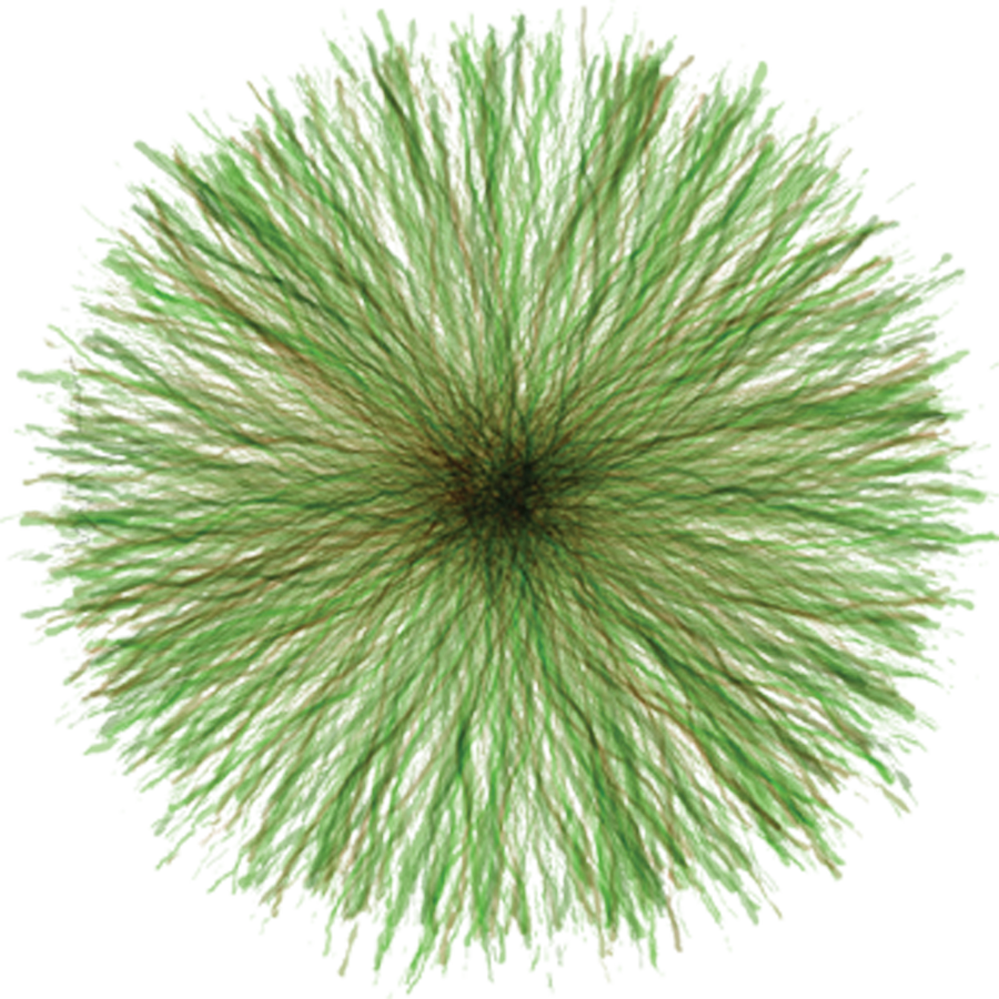 Landscape Gardening Near Me - Marine Invertebrates Clipart (900x900), Png Download