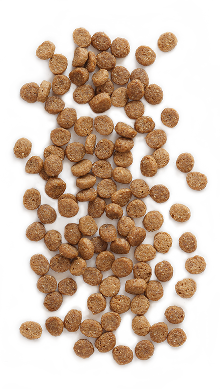 Cat Food Png Clipart (448x791), Png Download