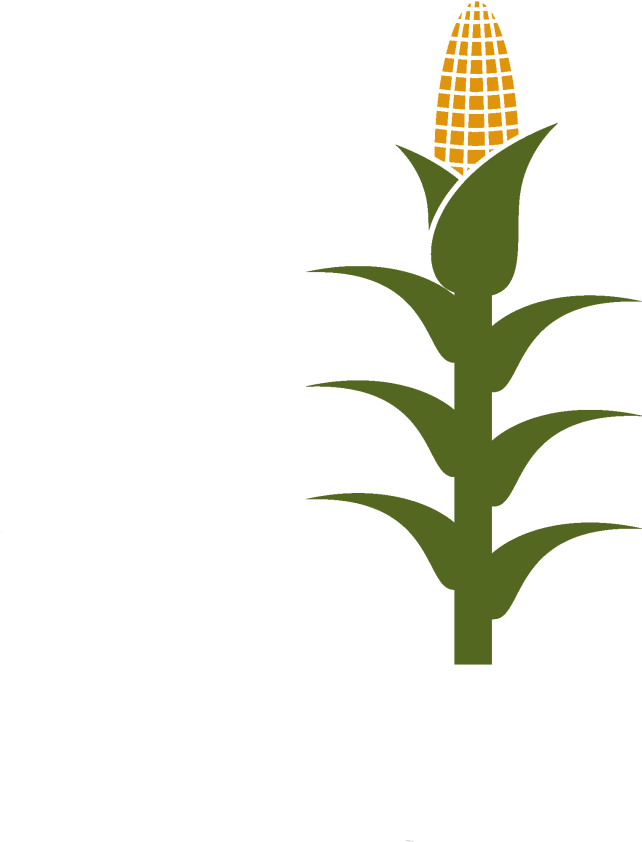 Corn Stalk Clipart (1024x1024), Png Download