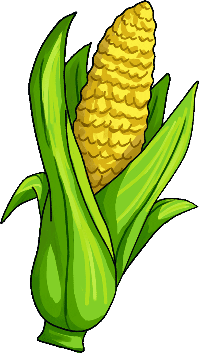 15 Surprising Corn Clipart For Free Fruit Names A Z - Free Corn Clipart Transparent Background - Png Download (720x1280), Png Download