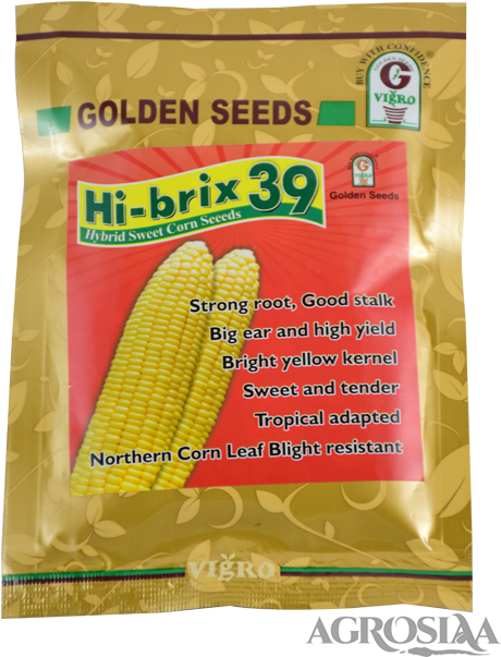 Golden Clipart (480x640), Png Download