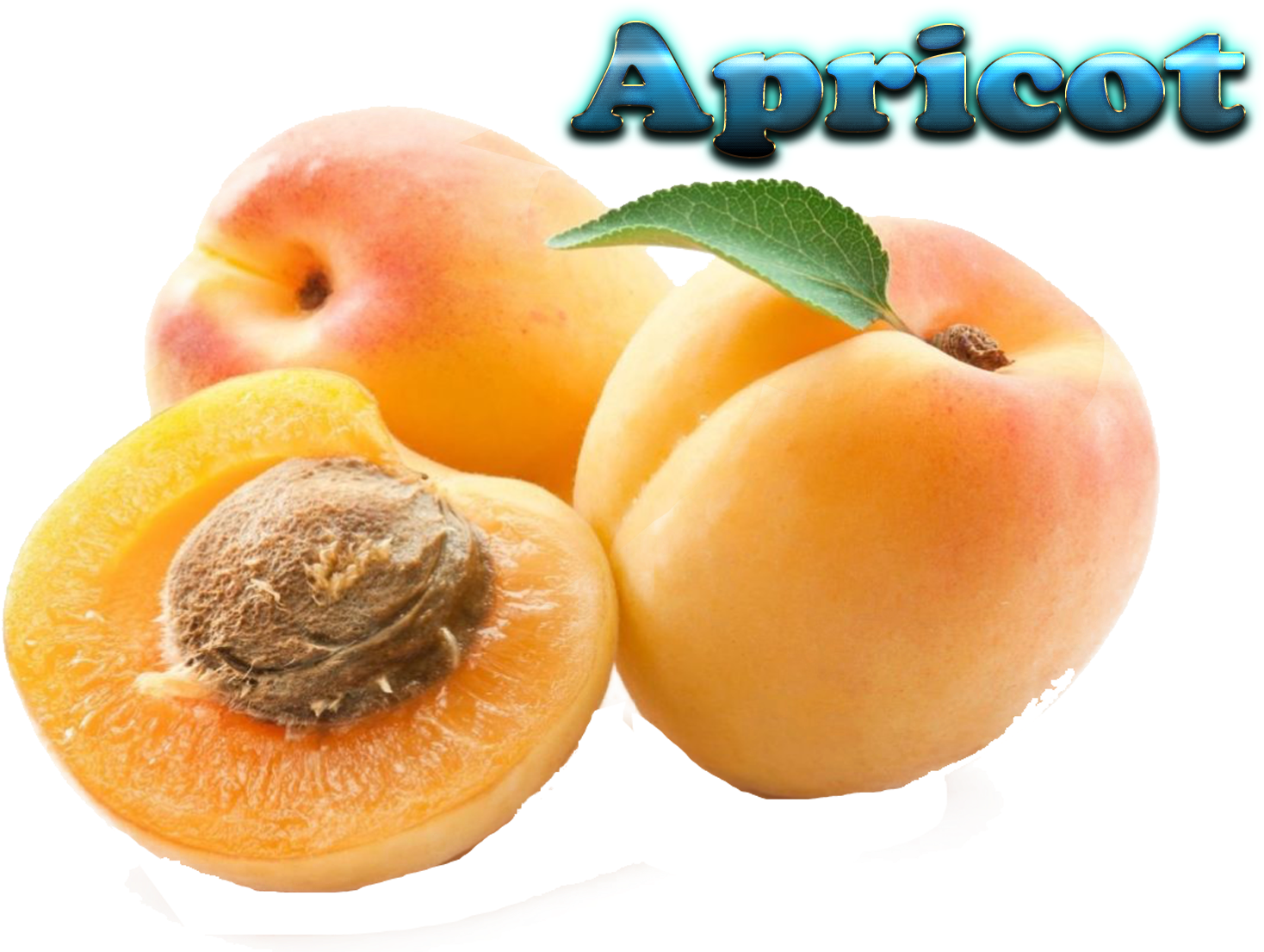 Apricot Fruit In Tamil Clipart (1608x1200), Png Download