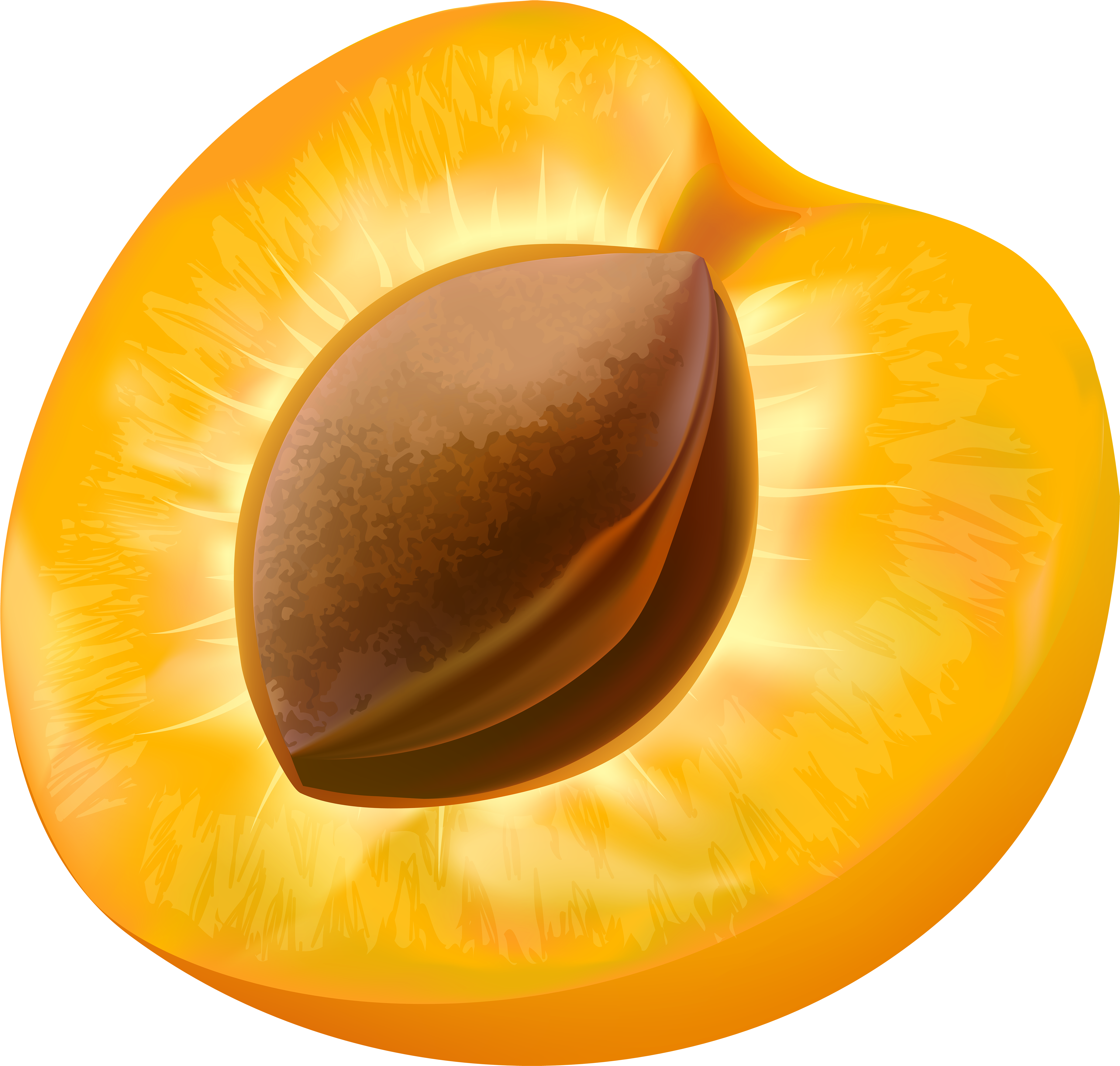 Half Apricot Transparent Image - Apricots Clipart - Png Download (6000x5710), Png Download