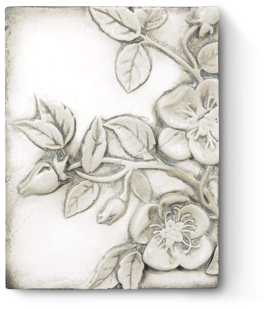 Sakura Clipart (1100x1100), Png Download