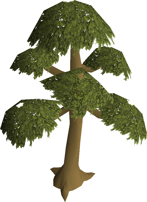 Willow Tree Png - Runescape Tree Clipart (593x813), Png Download