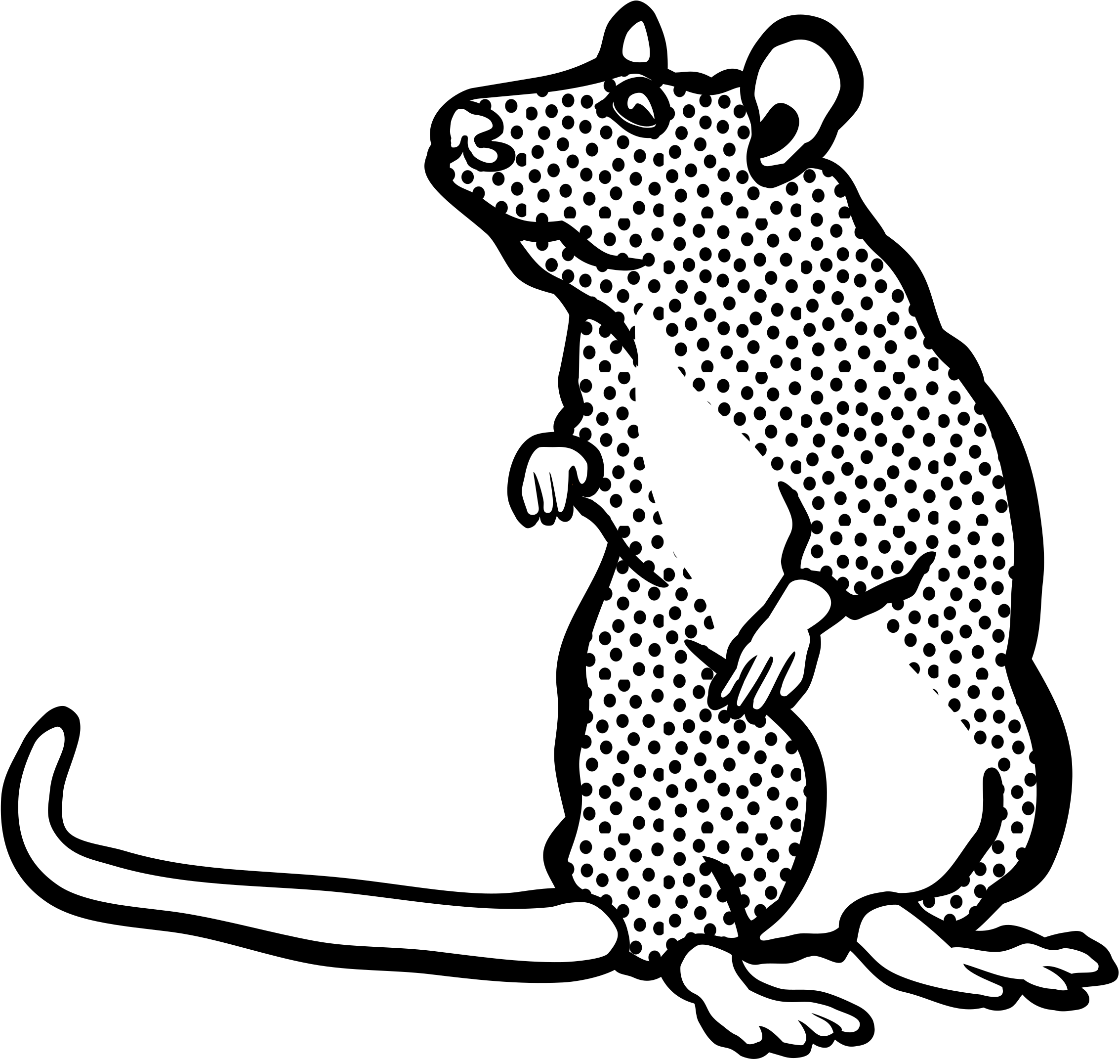 2400 X 2325 2 - Mouse Lineart Clipart (2400x2325), Png Download