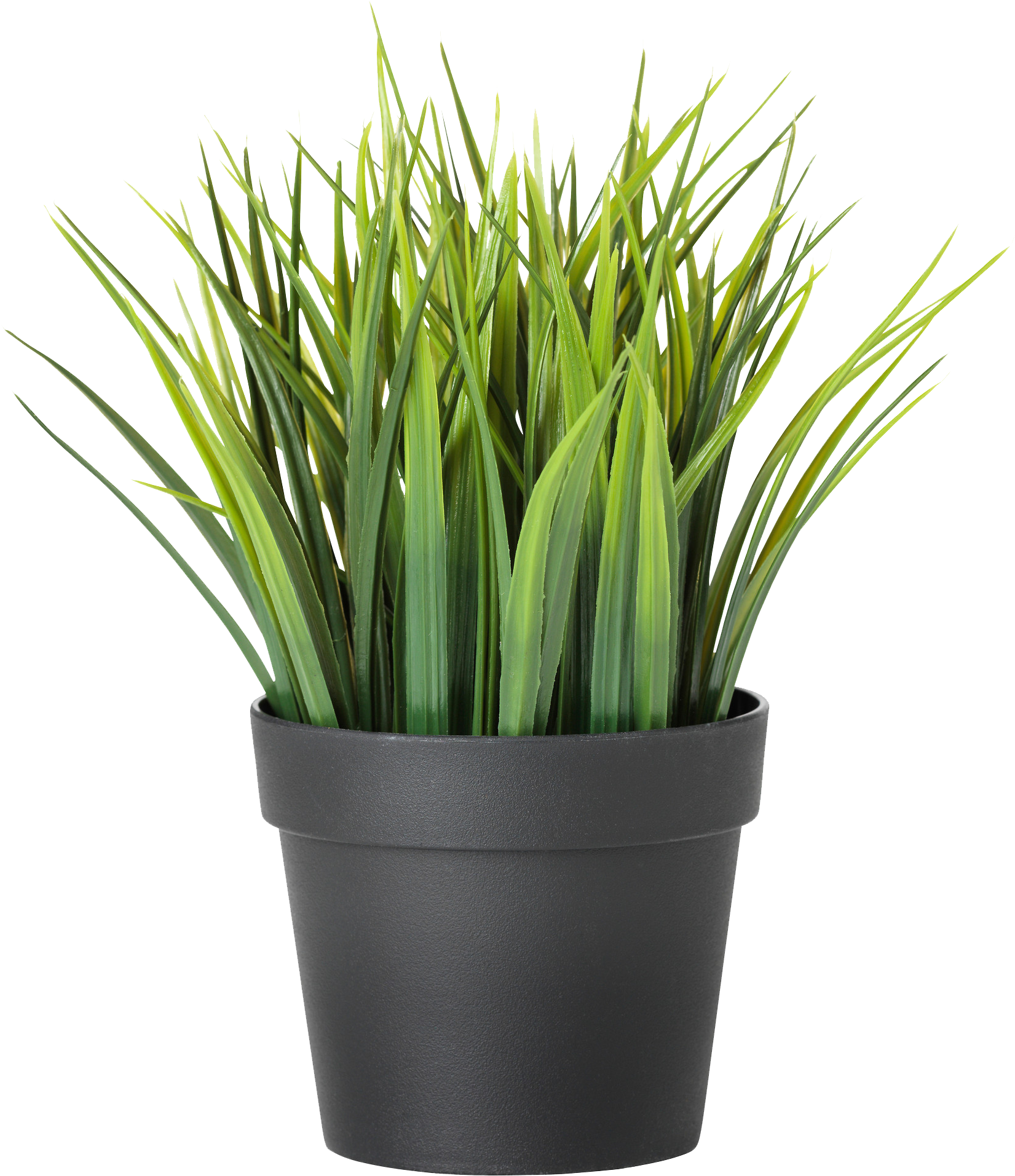 Potted Plants Clipart Transparent Background Png