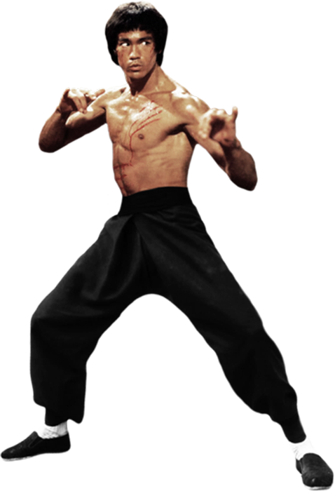 The Dragon Fight By Gdsfgs Bruce Lee Photos, Brandon Clipart (478x700), Png Download