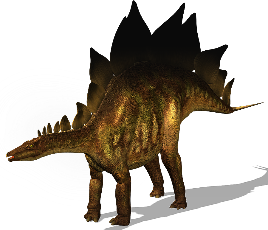 Stegosaurus Walking With Dinosaurs , Png Download Clipart (899x772), Png Download