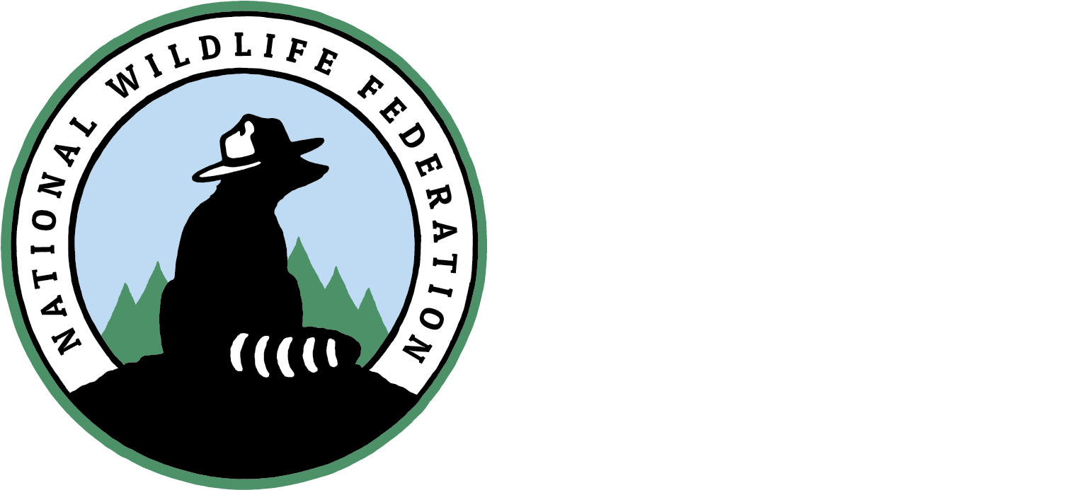 Logan Lerman Png Clipart (1756x840), Png Download