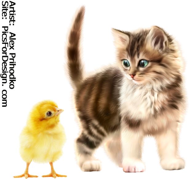 Kitty-chick - Kitten Clipart (640x606), Png Download