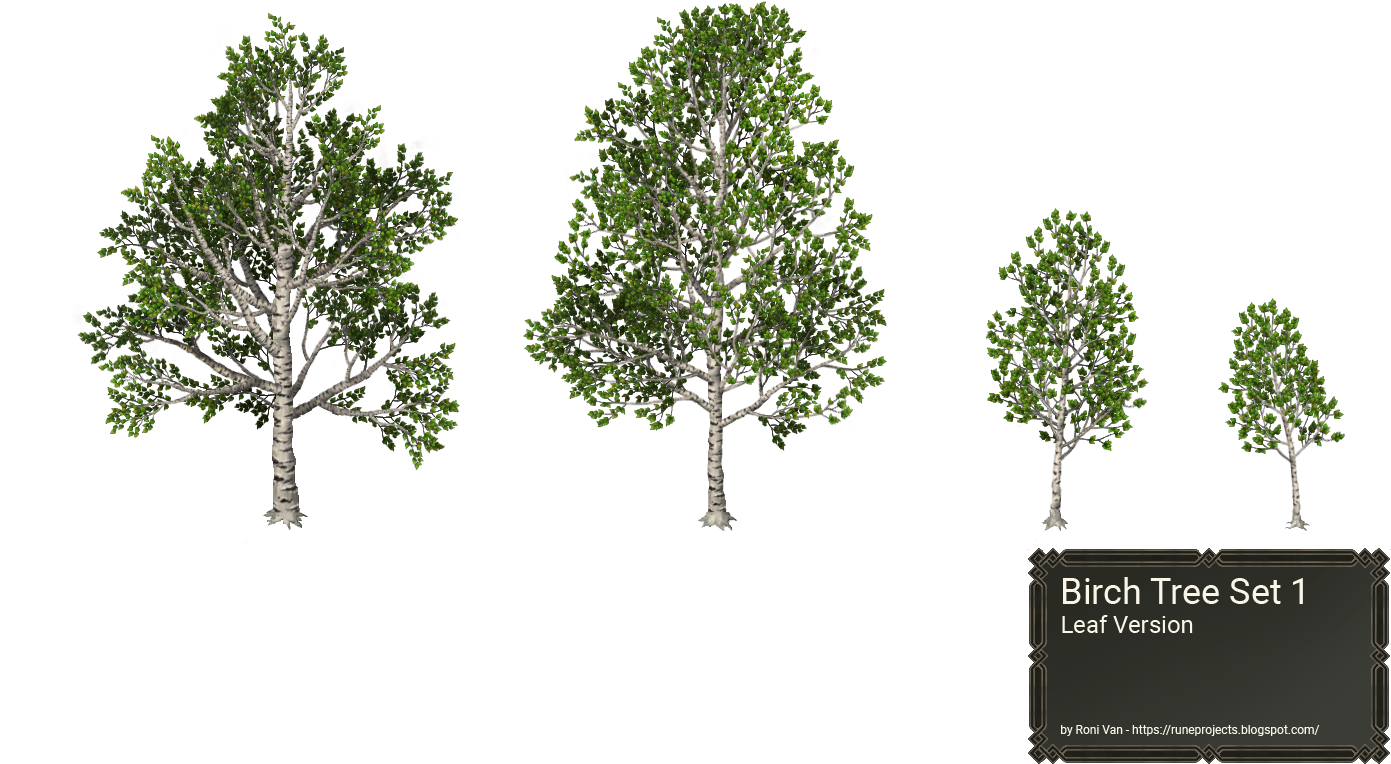 Pond Pine , Png Download Clipart (1391x764), Png Download