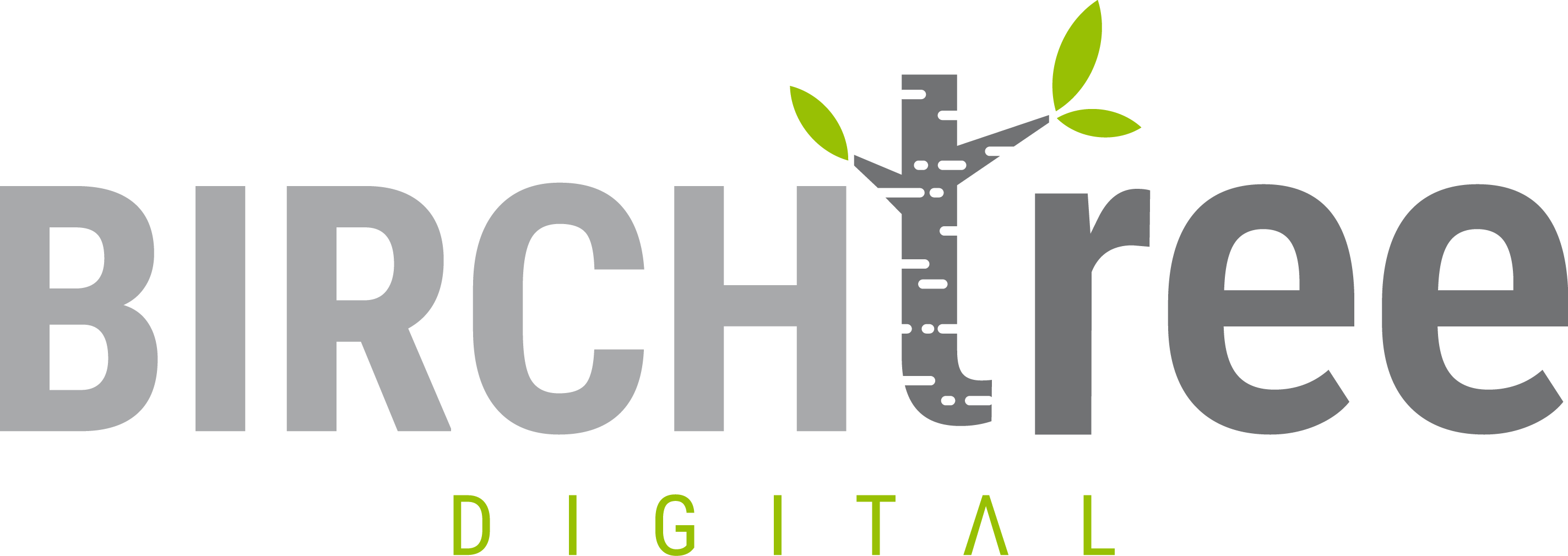 Birch Tree Digital - Birch Tree Logo Clipart (2847x1010), Png Download
