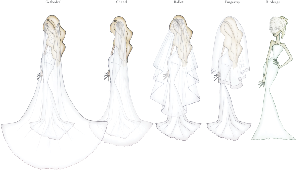 1000 X 600 - Illustration Clipart (984x564), Png Download