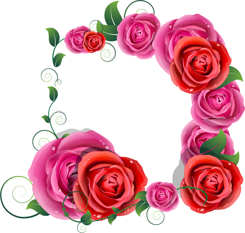 Png Клипарт "beautiful Flowers" Clipart (801x760), Png Download