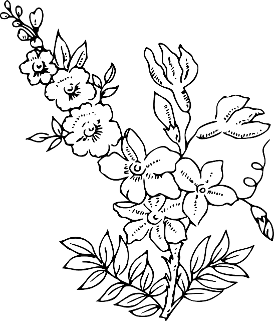 Flower Plant Blossom Public Clipart (547x640), Png Download