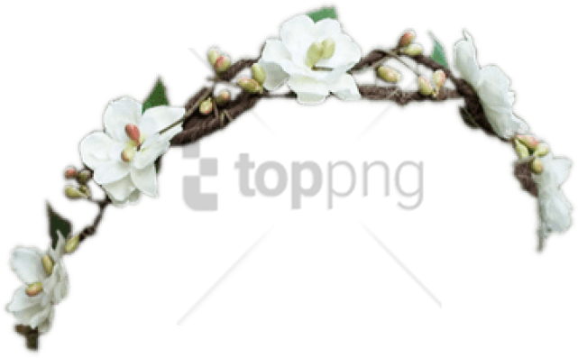 Free Png Download Black Flower Crown Transparent Png - Twig Clipart (850x477), Png Download