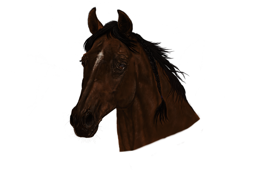 Horse Head Png - Sorrel Clipart (960x623), Png Download