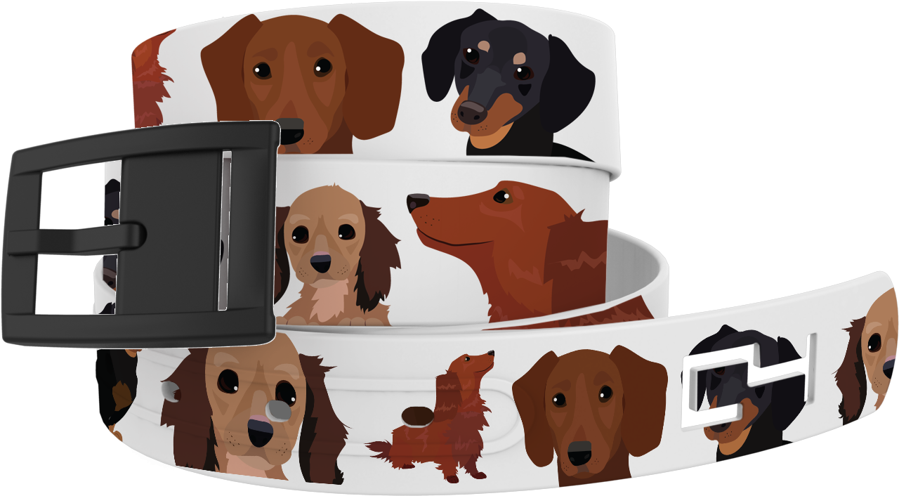 Dachshund , Png Download Clipart (1280x706), Png Download