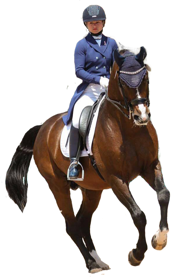 Our Trainers - Clipart (960x959), Png Download