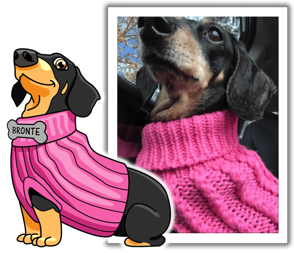 Meet Bronte, One Of Sausagemoji's Favorite Pups Clipart (999x860), Png Download