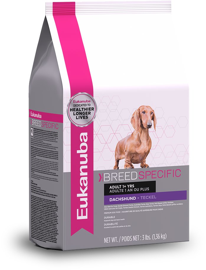 Eukanuba Dachshund Nutrition Dog Food - Companion Dog Clipart (946x1128), Png Download