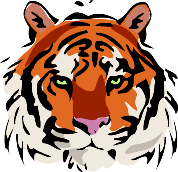 Tiger Head - Face Transparent Background Clipart Of Tiger - Png Download (620x600), Png Download