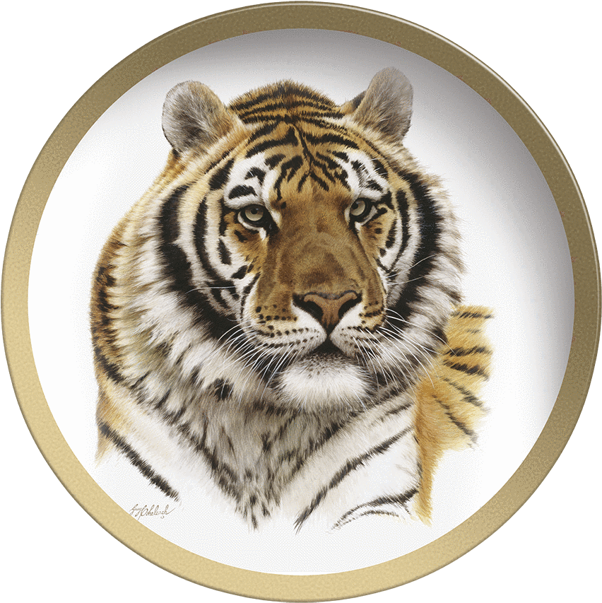 Tiger Head Png - Карандаш Голова Тигра Clipart (1000x1000), Png Download