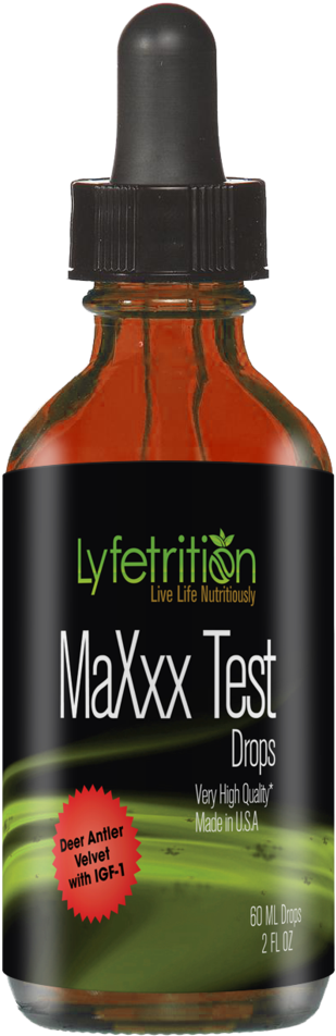 Deer Antlers Png Clipart (1024x1024), Png Download