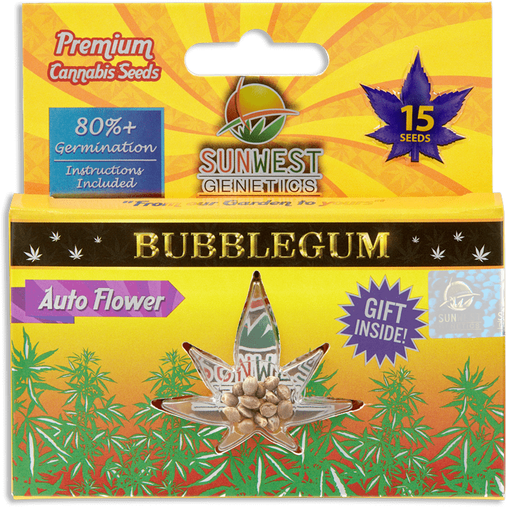 Blubblegum Seeds Sunwest - Photoimpression Clipart (800x800), Png Download