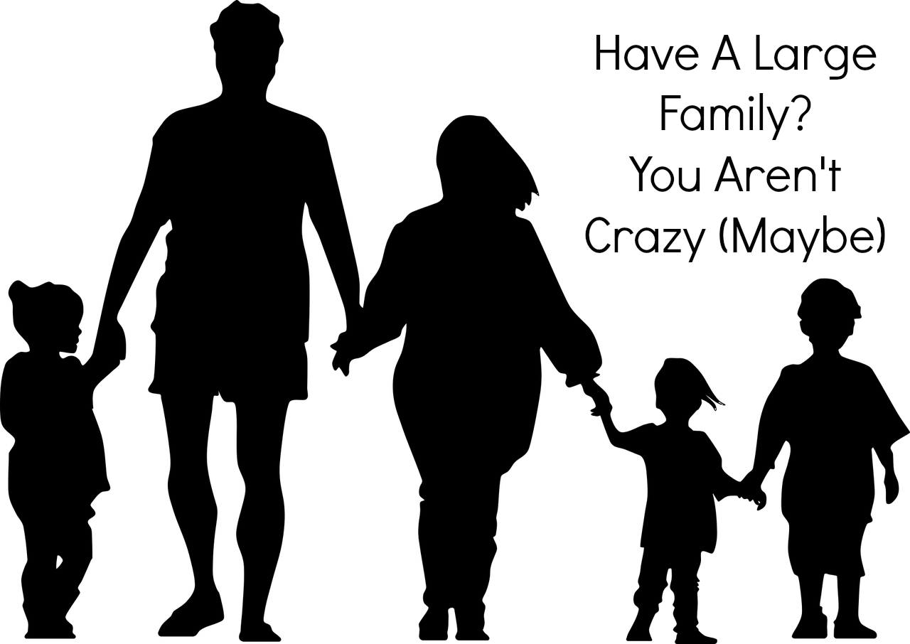 Your Arenu0027t Crazy Clipart (1280x906), Png Download