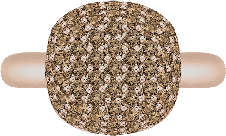 Lcr0115br-p - Ring Clipart (1000x1000), Png Download