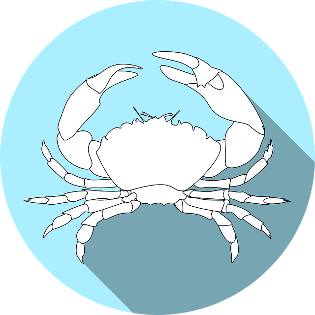 Crab Clipart (640x640), Png Download