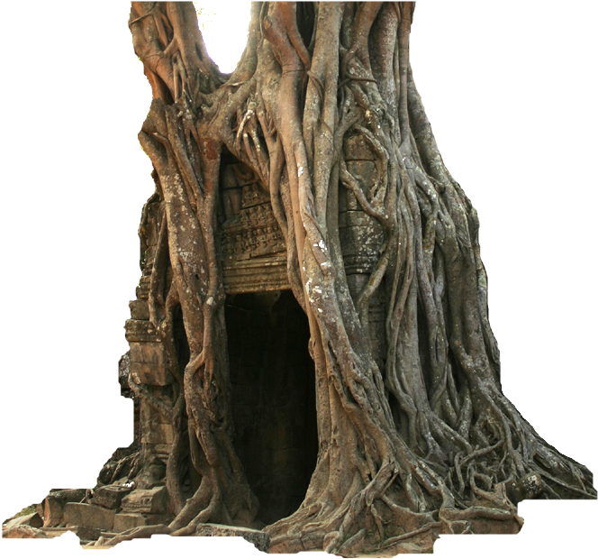 Old Hollow Tree Clipart (664x620), Png Download