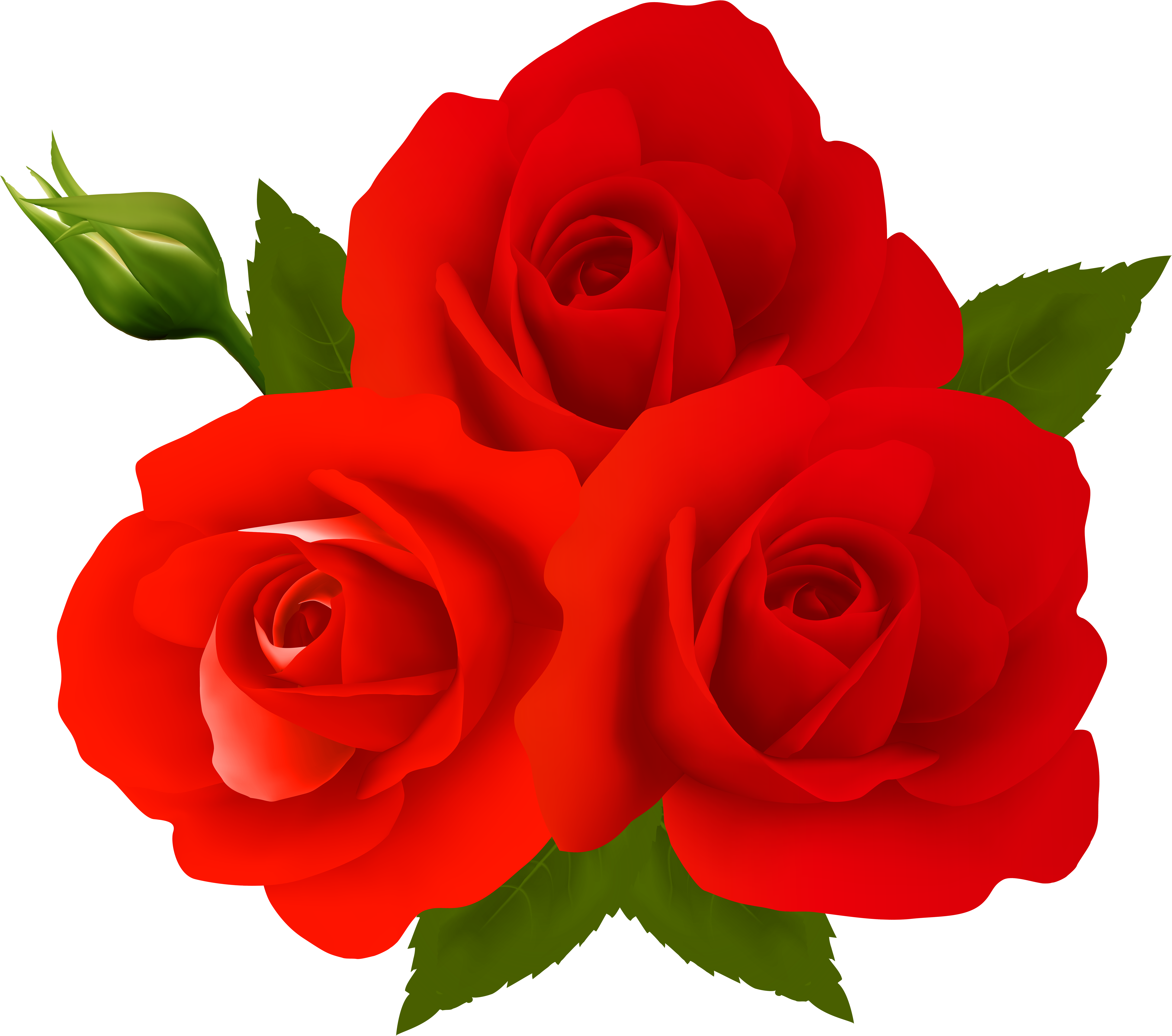 Rose Flower Images Free Download Png Png Www Cliparts - Gulab Ka Phool Download New Transparent Png (590x523), Png Download