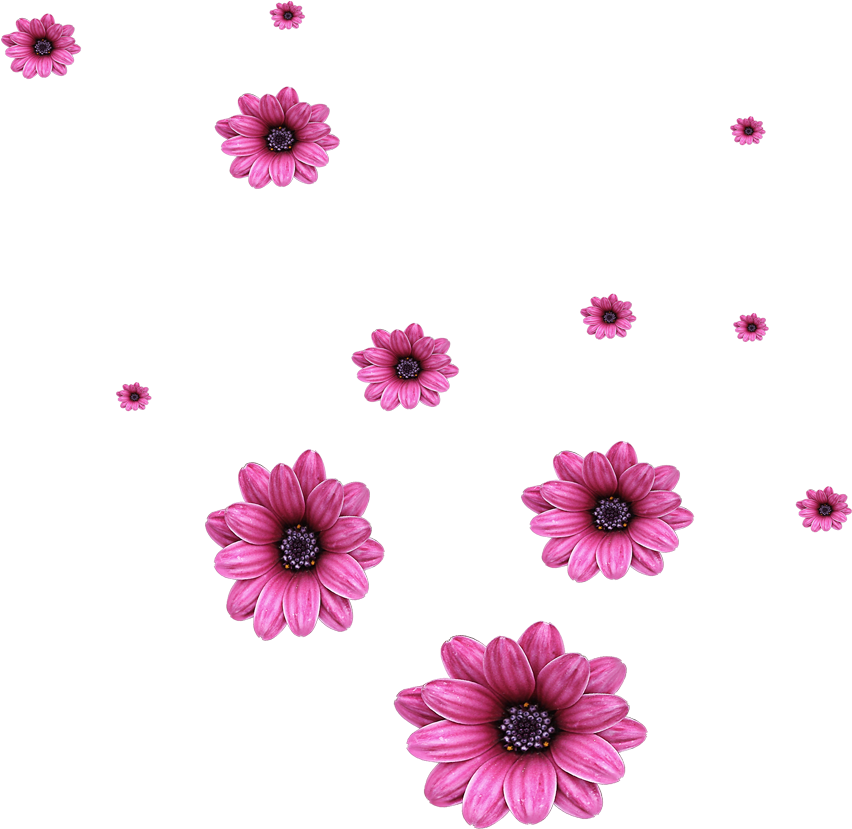 Flower Computer File Flowers Transprent Png Free - Scattered Flowers Png Clipart (1000x1000), Png Download
