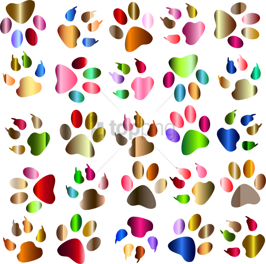 Free Png Colorful Footprints Png Png Image With Transparent - Colorful Paw Prints Clip Art (850x844), Png Download
