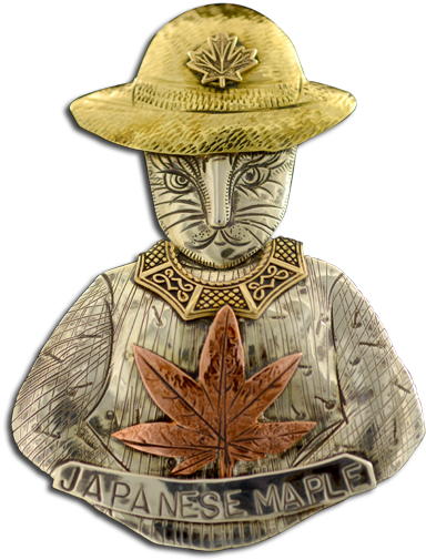 Maple Leaf Clipart (640x640), Png Download