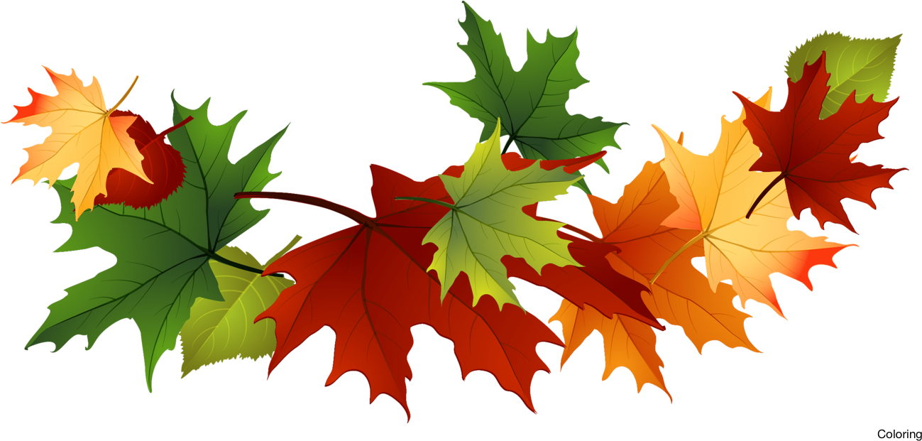 Svg Free Stock Majestic Autumn Leaves Clip Art Coloring - Png Download (1328x672), Png Download