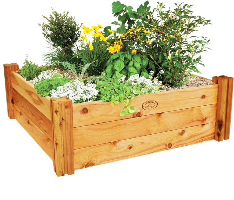 Flower Bed Png Clipart (800x800), Png Download