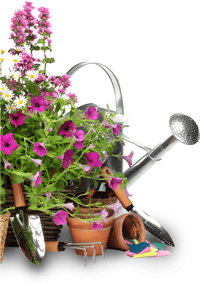 Flower Bed Png Clipart Large Size Png Image PikPng