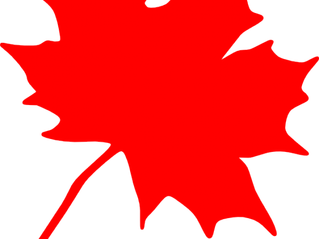 Maple Leaf Clipart Artistic - Png Download (640x480), Png Download