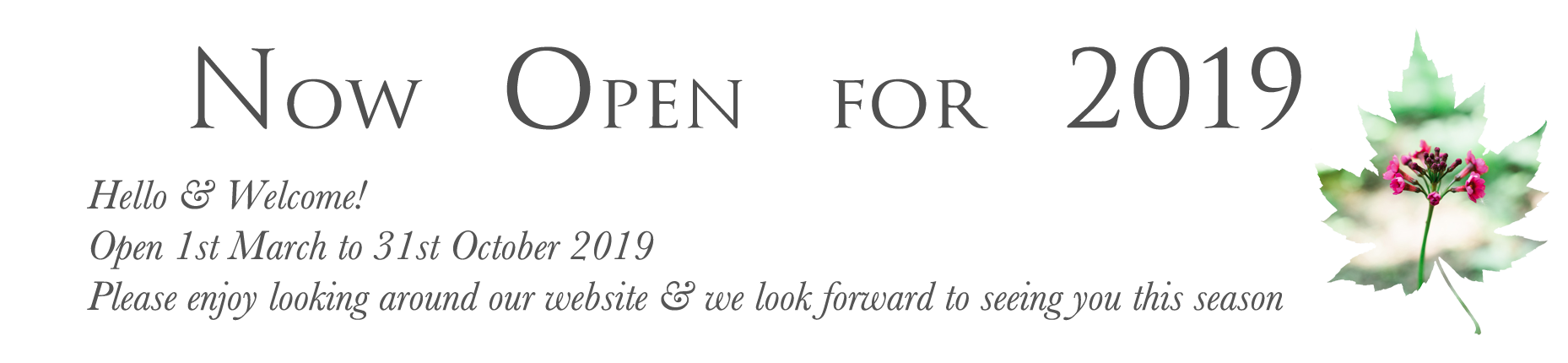 Contact - Happy Lunar New Year 2012 Clipart (2000x651), Png Download