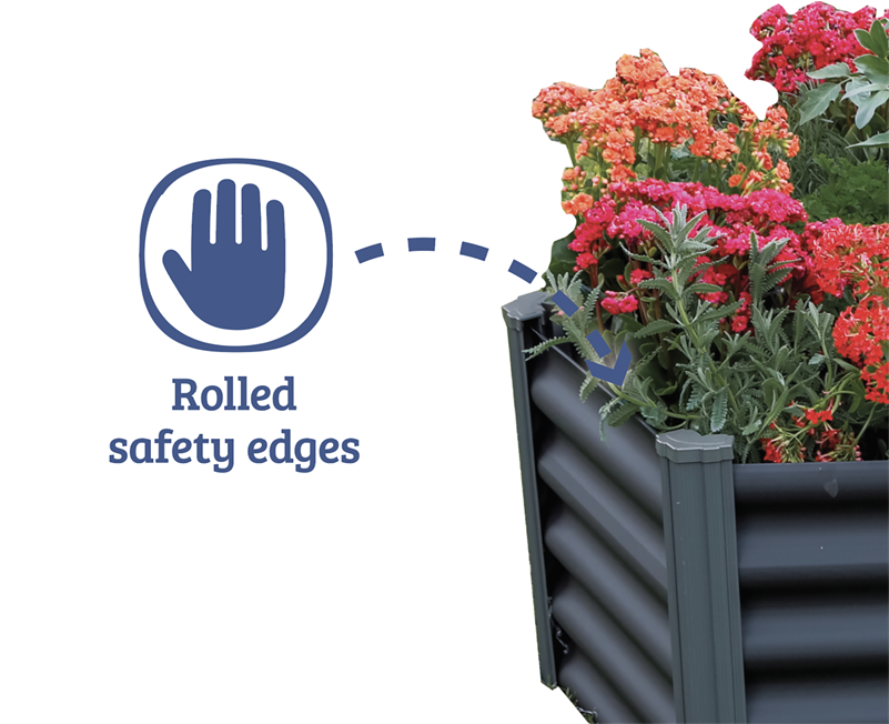 Hydrangea Serrata Clipart (800x800), Png Download