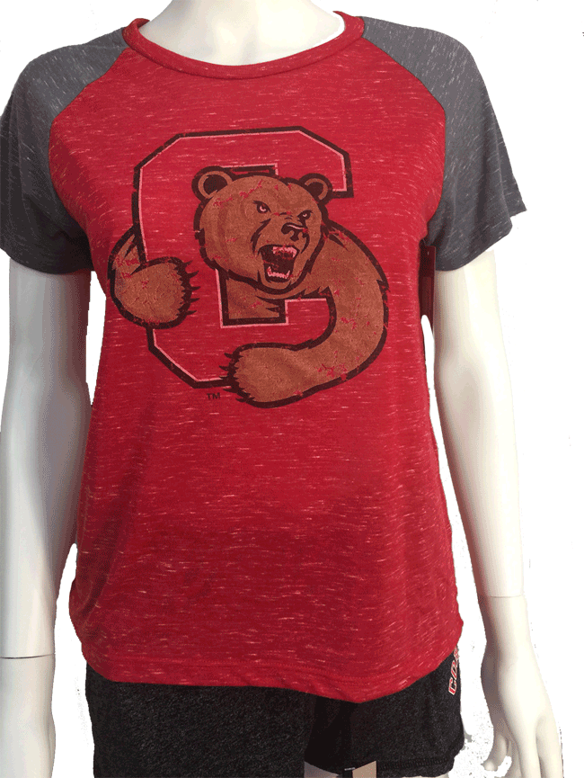 Cornell Gracie Confetti Raglan Tee - Teddy Bear Clipart (650x865), Png Download