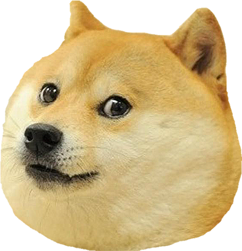 Dog Head Png Clipart (618x618), Png Download