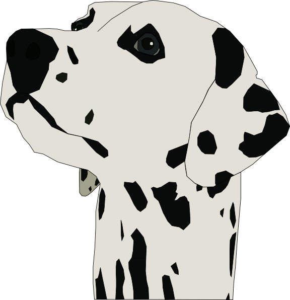 Cartoon Dalmatian Head Clipart (576x596), Png Download