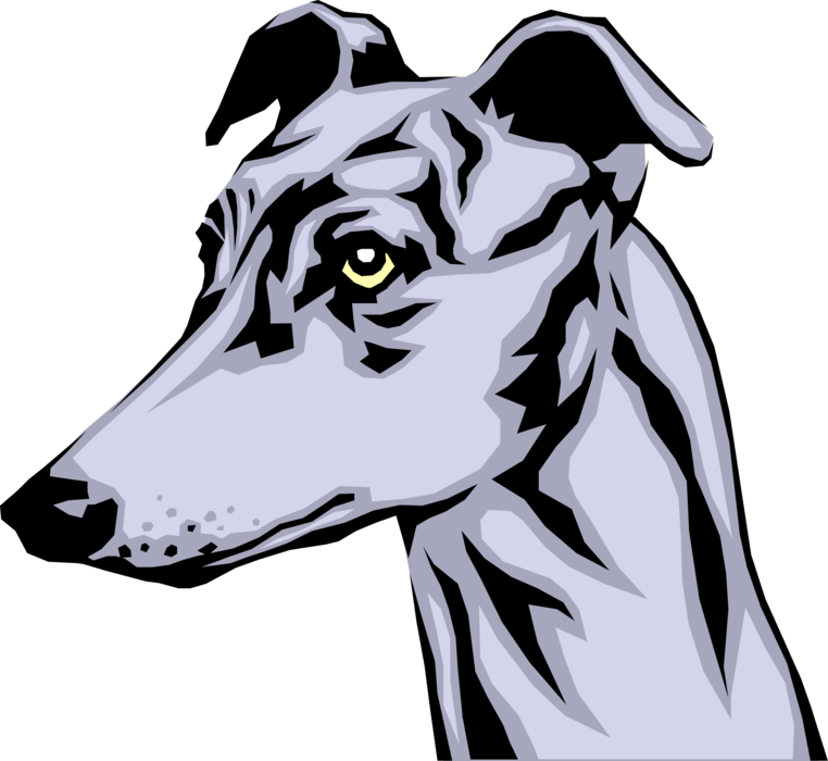Vector Illustration Of Greyhound Race Dog Head - Greyhound Dog Clip Art - Png Download (762x700), Png Download