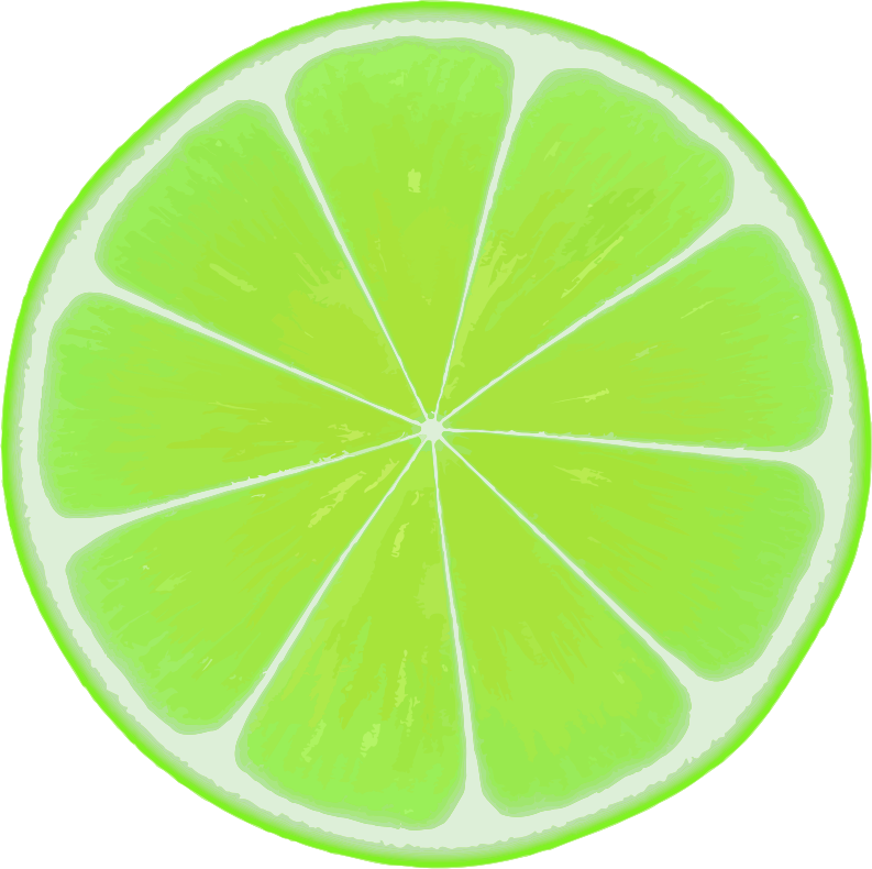 Medium Image - Sliced Lime Clip Art - Png Download (793x790), Png Download