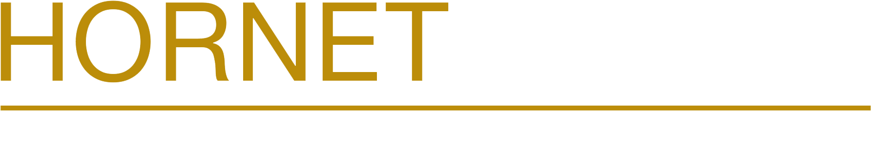 Now & Forever The Campaign For Emporia State University - Emporia University Mail Clipart (1863x420), Png Download